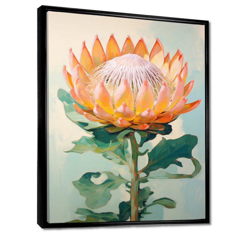 «Blossoming Protea Pastel Flower - Autres plantes et fleurs», art mural, Cadre flottant noir, bois massif, H 20 po x l 12 po