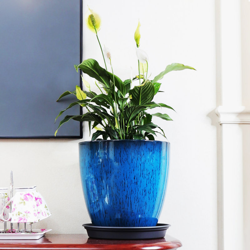 Pot Planter