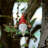 Garden Gnome on Swing Statue Decoration Figurine Ornament
