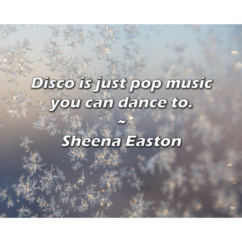 Sheena Easton Citation: La disco est juste de la musique pop dans laquelle vous pouvez danser., H 20 po x l 24 po