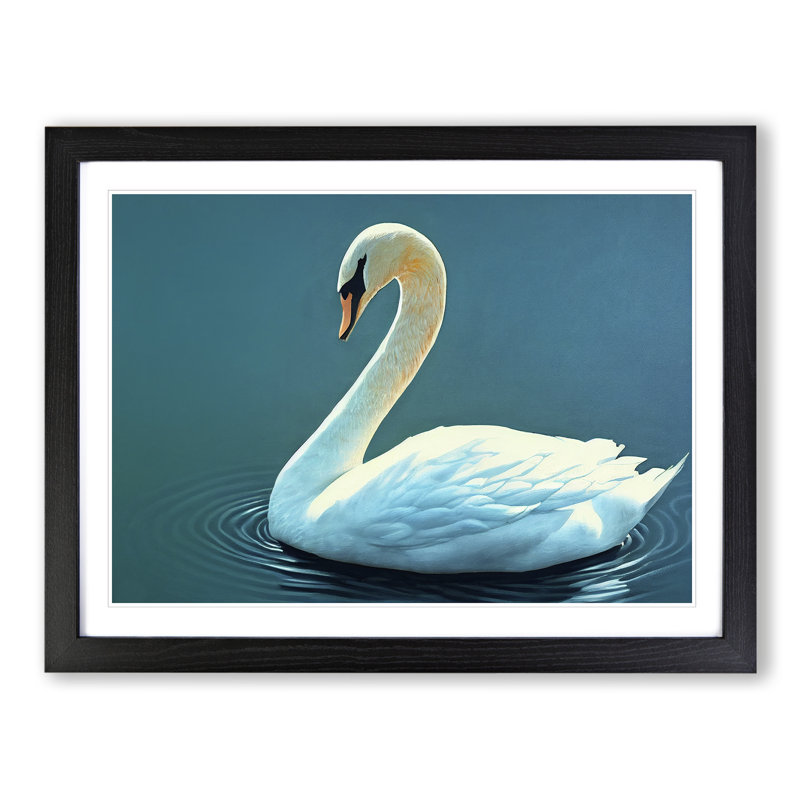 Luscious Swan - Single Picture Frame Print, Black, 46cm H x 64cm W