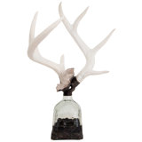 Antler Handmade Glass Decorative Bottles