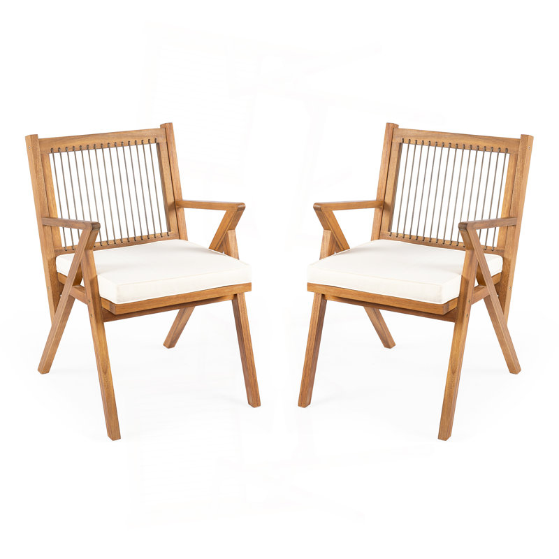 Patio Dining Chair With Cushion (Set Of 2)