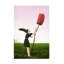 Ciel ouvert sur toile-1330558737