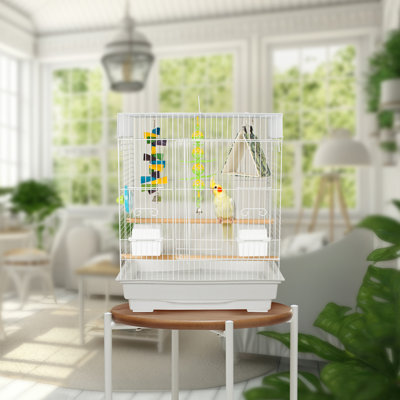 Entertainment Bird Cage Kit