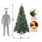 Cullen Pine Tree-1631841719