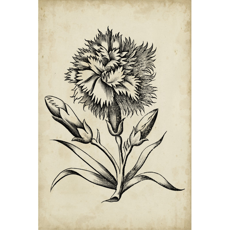 Distinguished Floral III - Painting on Canvas, 122cm H x 81cm W, Black Floater Framed