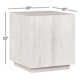 Taryn 20" Block End Table