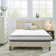Wayfair Sleep 9" Plush Cooling Gel Hybrid Mattress