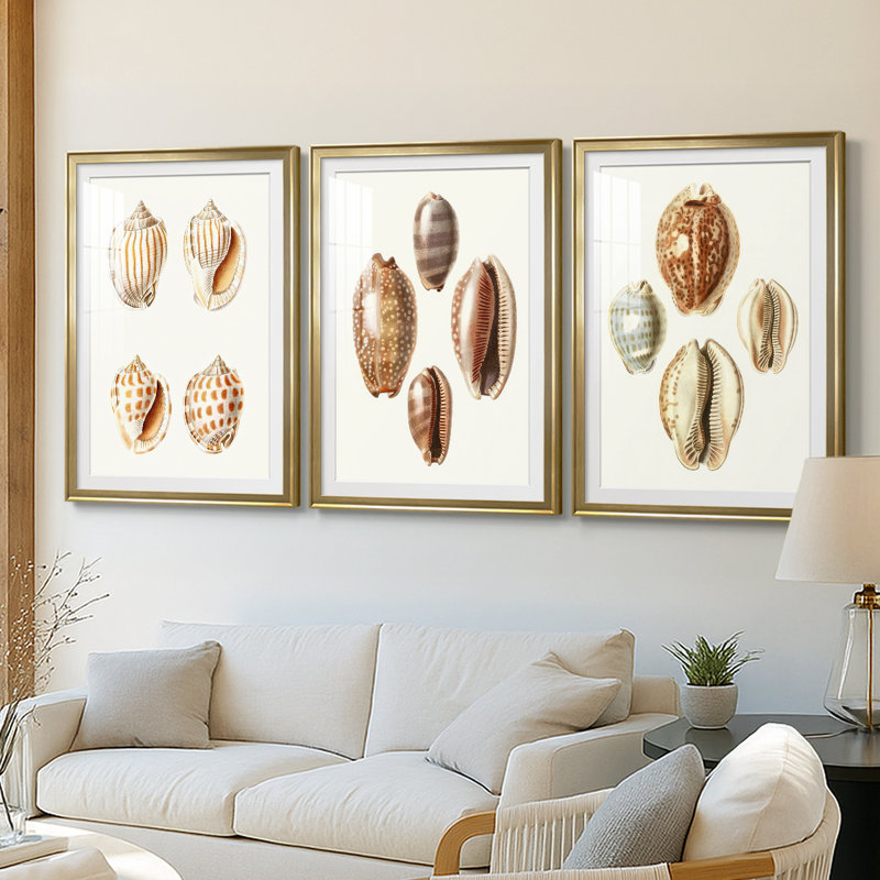 Lamarck Shells I - reproduction sur mesure encadrée de qualité supérieure - 3 pièces, H 27 po x l 39 po, Doré