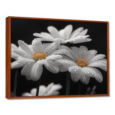 Monochrôme noir et blanc, bonheur, photo III - marguerites, art mural