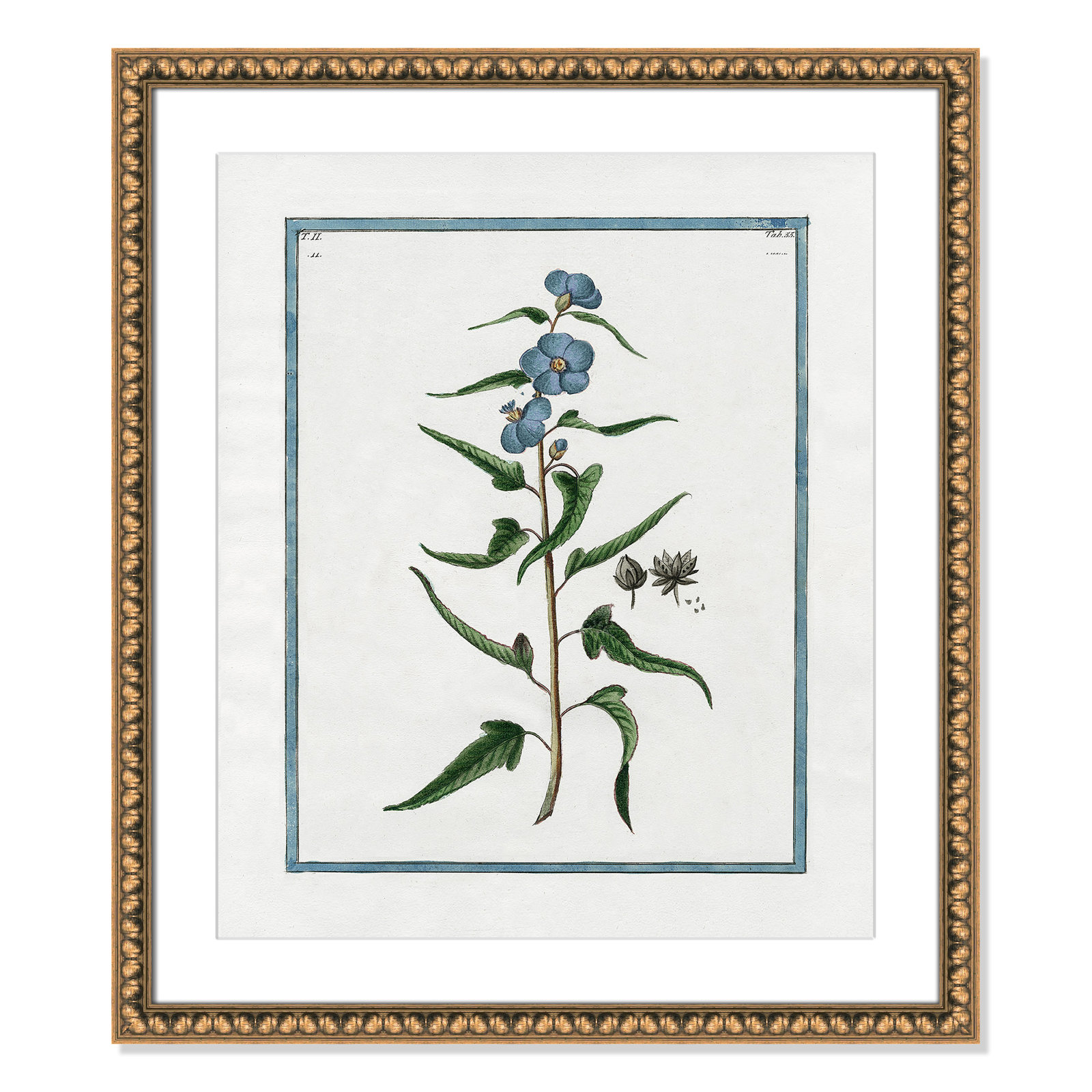 Colombe "Shabby Elegance Botanical I" Print, Gold Bead Framed, 22.5" W x 26.5" H