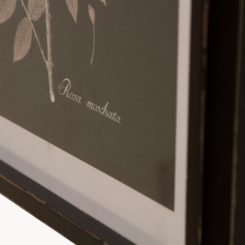 Lechiaro 4 Piece Single Picture Frame Print