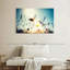 Jardin de papillons Brampt-107691895