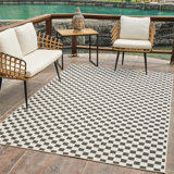 Lauklyn One-of-a-Kind Polypropylene Plastic Area Rug Black