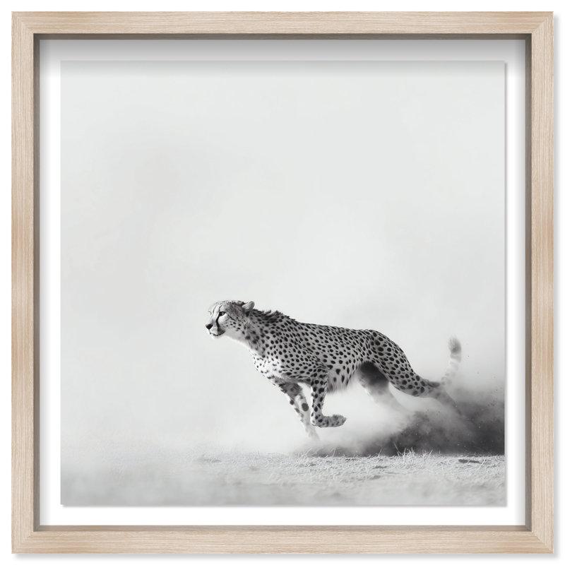 Cheetah Run Print by Oliver Gal, 41.5" H x 41.5" W, Natural Oak Shadowbox