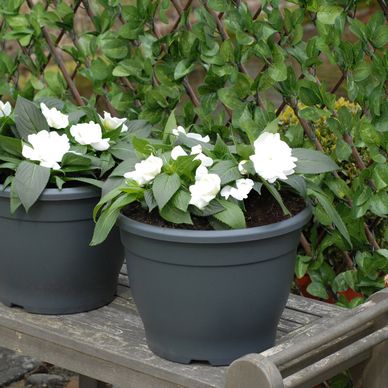 Pot Planter