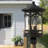 Lantern Head