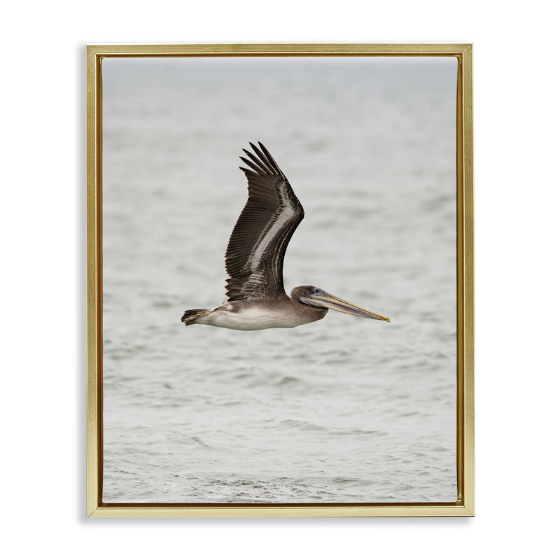  «Pelican Over Sea Floater» par Crystal Lynn Collins, H 31 po x l 25 po, Or