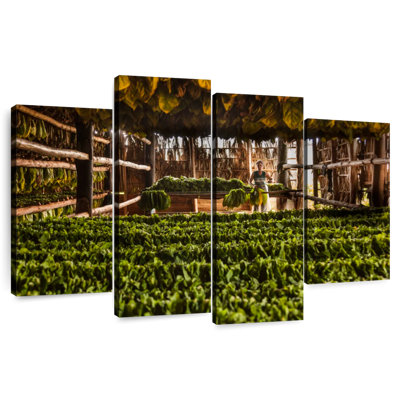Harnek Tobacco Barn