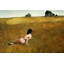 «Christina's World» par Andrew Wyeth, toile tendue avec châssis-1944066308