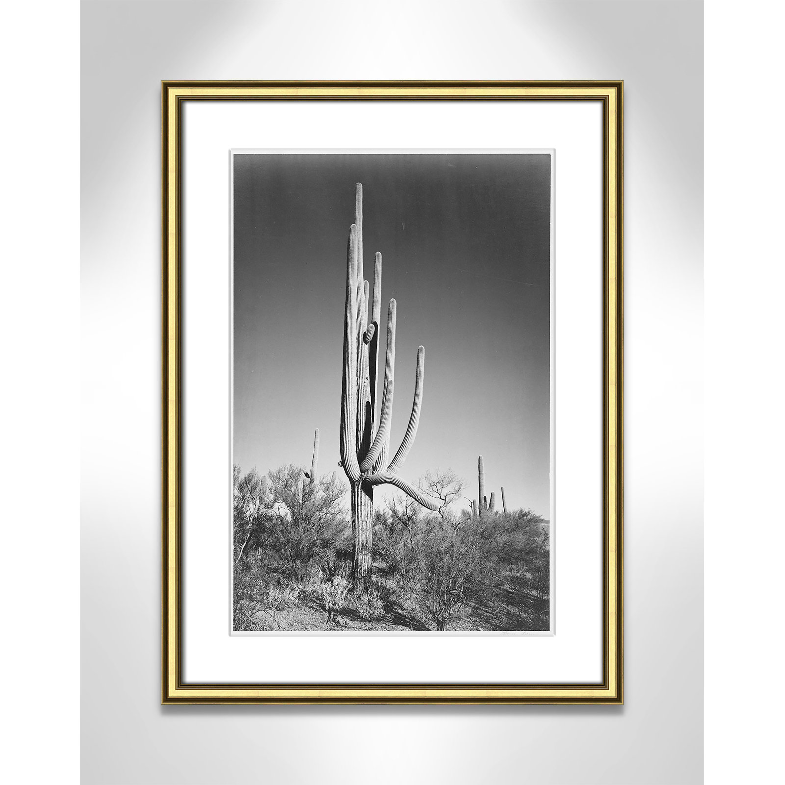 Saguaro National Monument Print by Ansel Adams, Gold , 24.25" H x 18.25" W x 0.88" D