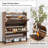20 Pair Shoe Storage Cabinet (Set Of 2)-666853673