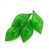 Vert transparent est en rupture de stock