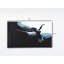 Peintures murales sur toile