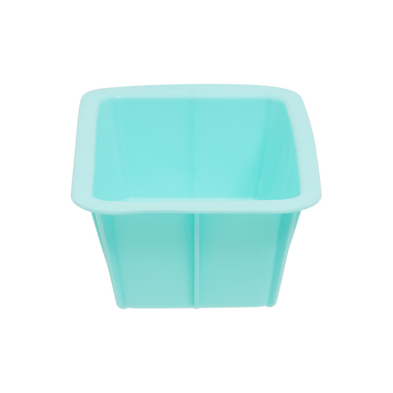 Premier Housewares Zing Silicone Mould with Lid, Green