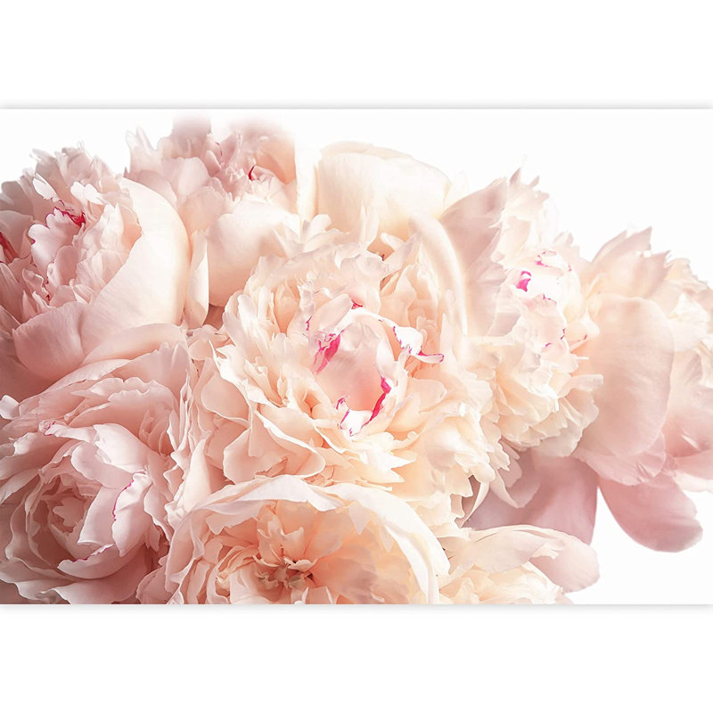 Bouquet de fleurs roses et œillets, L 100 po x l 144 po