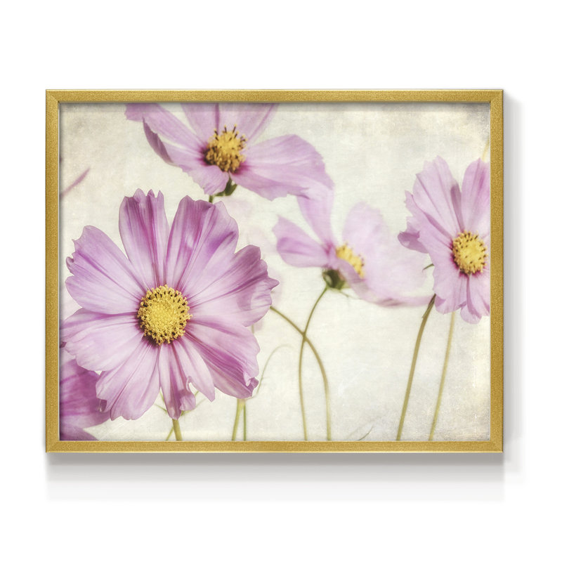 «Pink Cosmos I», reproduction encadrée, H 8 po x l 10 po, Or