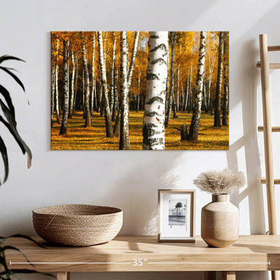Golden Birch Grove