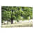 Toile tendue