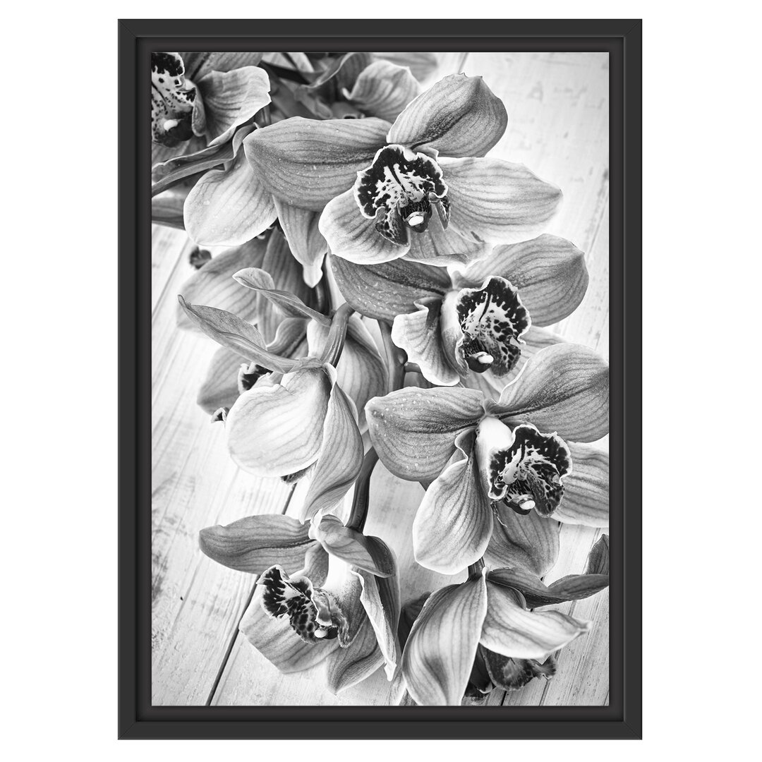 Gerahmtes Wandbild Rosane Orchideenblüten Kunst B&W