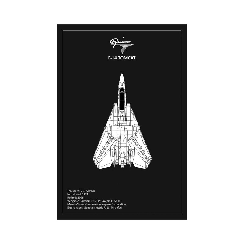 BP F-14-Tomcat by Mark Rogan - Print on Canvas, Wrapped Canvas, 66.04 cm H x 45.72 cm W x 1.91 cm D