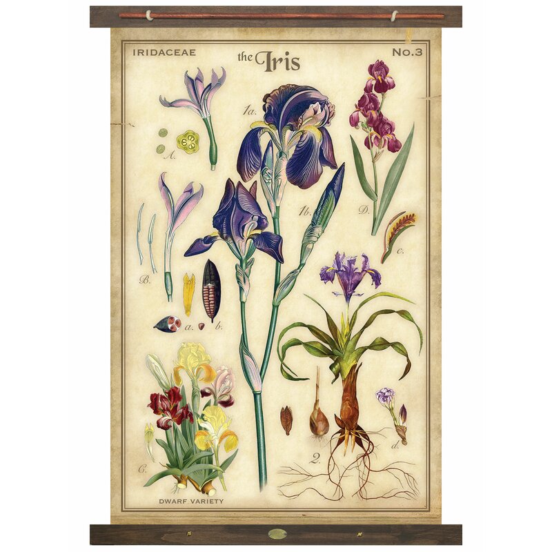 Cotton Iris Tapestry with Rod Included