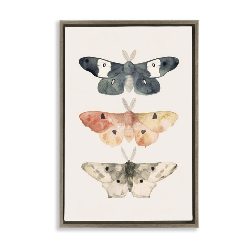 «Watercolor Moth Trio», toile flottante encadrée par Petal Prints Design, Cadre flottant orme Montalcino, H 25 po x l 17 po