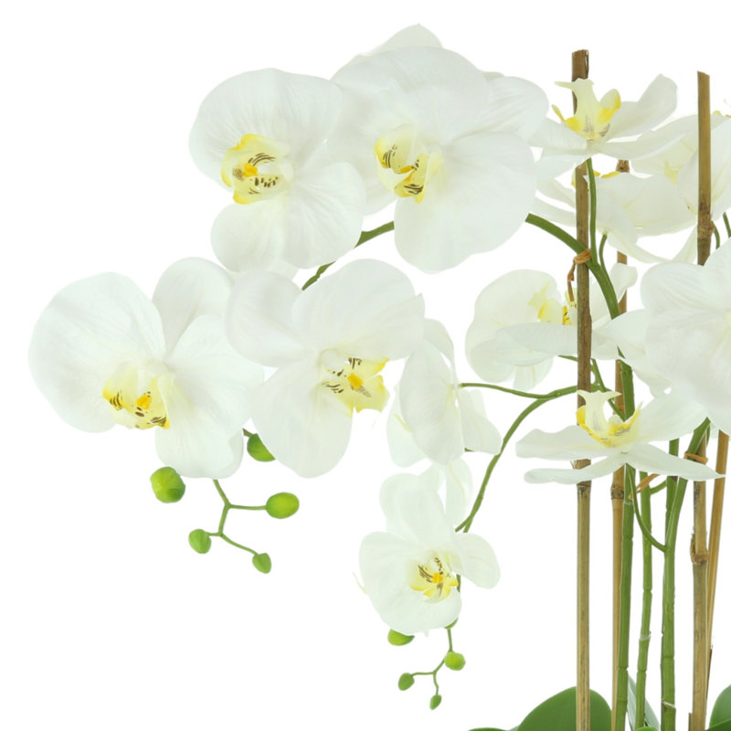 Organic Modern Orchid Arrangement in Ceramic Vase