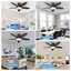 106cm Ceiling Fan with LED Lights-1491069265-1491069270