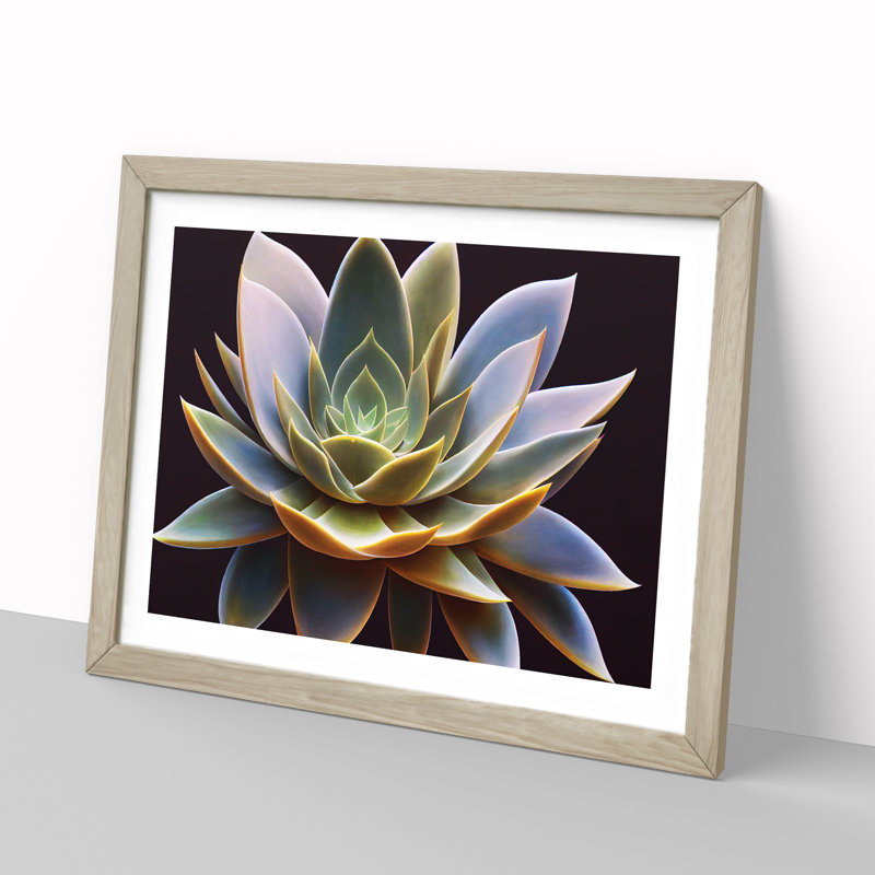 Compelling Succulent Plant - Framed Print, 46cm H x 64cm W x 2cm D, Oak