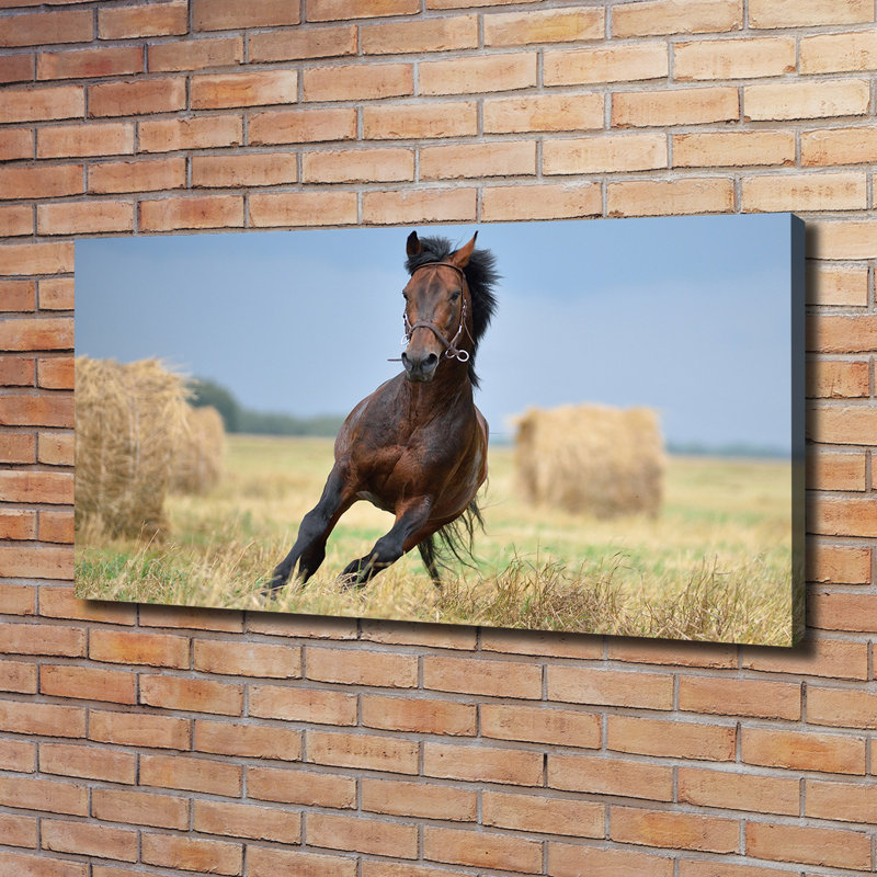 Horse In Gallop - Wrapped Canvas Print