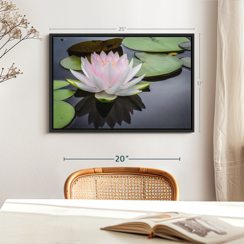 Floral et botanique «Lotus rose blanc», H 17 po x l 25 po