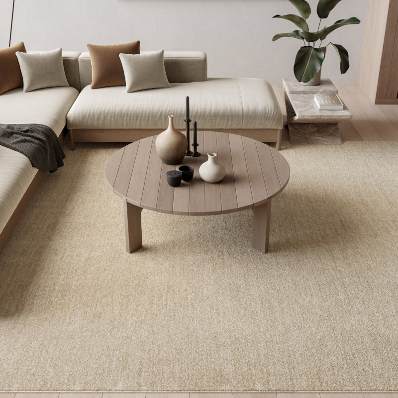  Tapis beige rétro 7 pi 10 po x 10 pi 2 po Moonlit, Beige, Rectangle 7 pi 10 po x 10 pi 2 po