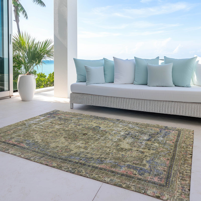 Machine Washable Indoor/Outdoor Claudian ACN1646 Aloe Rug, Rectangle 3' x 5'
