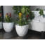 Vases Polyethylene Resin Pot Planter-49046854-49046858