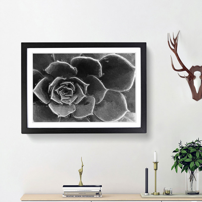 Succulent Plant - Picture Frame Painting Print, 36cm H x 48cm W x 2cm D, Black Framed