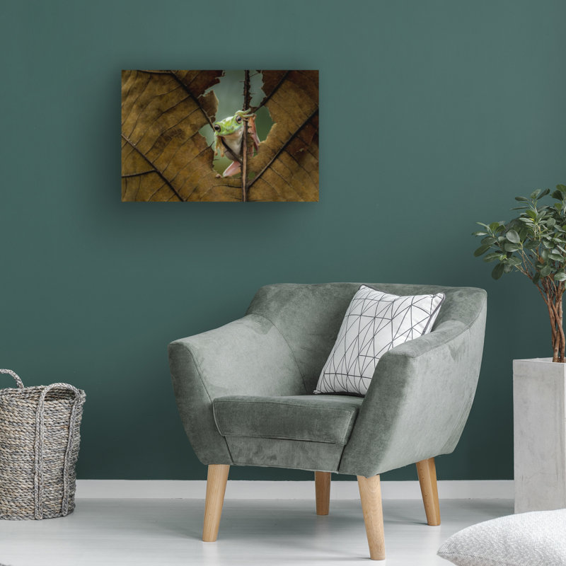 Bolog Andreas Karyadi Peek A Boo Canvas Art, 12" H x 19" W