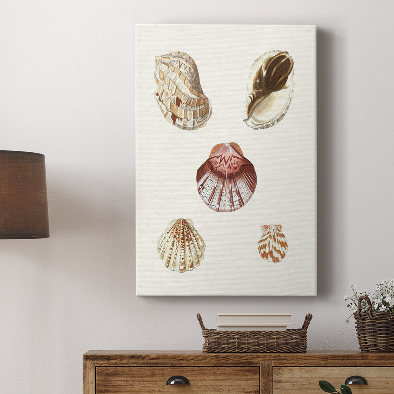 Coquillages pastel en coquille Knorr, H 48 po x l 32 po