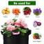 Tonecia Nursery Pot-955849022